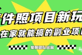 高需求蓝海证件照发型项目实操教学 0基础可上手的低门槛副业