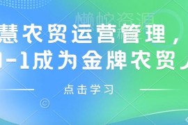 智慧农贸运营管理实操教程 零基础从0到1成为金牌农贸人