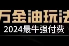 2024年12月更新 万金油强付费玩法全流程实操教程