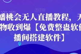 天庭蟠桃会无人直播操作教程 附搭建软件与整蛊特效资源
