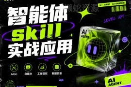 智能体Skill实战应用教程 多场景落地实现工作流程自动化提效