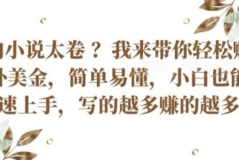 国内小说赛道太卷难变现？新手可做的海外写文赚美金项目指南