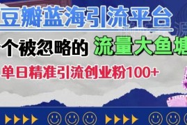 被忽略的豆瓣蓝海引流平台 单日精准引流创业粉100+教程
