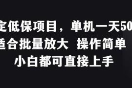 单机日入50+低门槛稳定副业教程 小白可上手支持批量放大