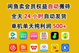闲鱼售卖会员权益项目实操 无需囤货可24小时自动托管赚收益