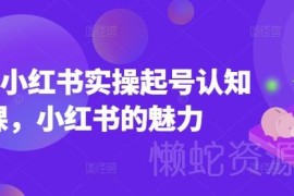 2025小红书实操起号认知课 从养号开店到变现全流程教学