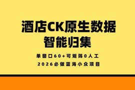 2026蓝海小众项目 酒店原生数据智能归集玩法及收益说明