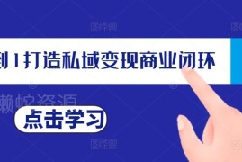 从0到1搭建私域变现商业闭环 私域IP打造与运营实操教程