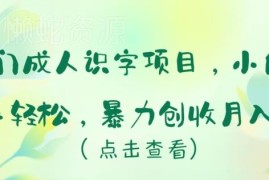 冷门成人识字创业项目拆解 小白易上手的低门槛盈利玩法