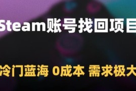 Steam账号找回副业项目操作思路 零成本冷门蓝海市场需求极大