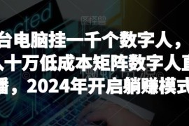 2024数字人矩阵直播蓝海项目 低门槛可落地实操玩法详解