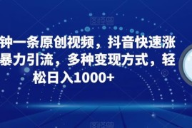 抖音3分钟做原创视频教程 涨粉引流变现全流程玩法详解