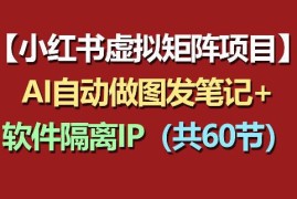 小红书虚拟矩阵60节实操教程 软件IP隔离+AI自动做图发笔记全流程