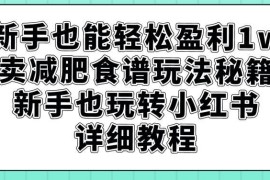 小红书卖减肥食谱盈利操作教程 新手零基础上手玩法全指南