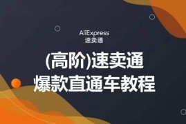 速卖通高阶直通车实操运营教程 教你正确投放拒绝无效烧钱