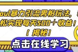 Soul平台男粉引流实操教程 可实现日均500+收益的实用玩法