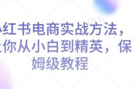 小红书电商从新手到精英保姆级教程 全流程运营实操指南