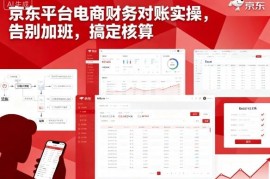 京东平台电商财务对账实操教程 轻松搞定核算告别加班