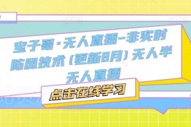宝子哥无人半无人直播实操课 非实时防风技术更新至2025年12月