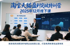 2025年12月淘宝天猫盈利特训营 电商标准化运营体系搭建课