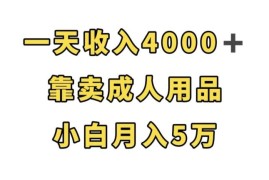 成人用品线上售卖赚钱项目拆解 零经验小白可操作月入超5万