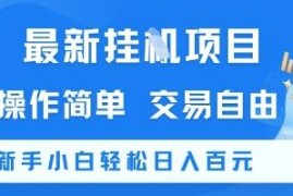 无需实名无广告挂机赚钱项目解析 新手易操作可日入100+