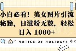 抖音美女图片引流涨粉教程 新手可落地的变现实操方法