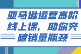 亚马逊高阶运营线上课程 全链路实操教学助力突破销量瓶颈