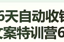 16天自动收钱文案特训营6.0 从布局到实操掌握高转化文案技巧