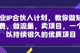 创业IP合伙人计划玩法 知识付费流量运营卖项目实操指南