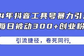 2024年抖音工具号引流攻略 每日被动获取300+创业粉实操教程
