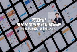 可落地的拼多多虚拟电商矩阵玩法 标准化运营实操攻略