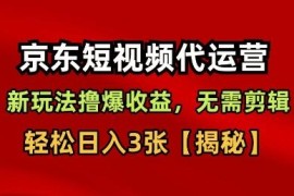 京东短视频带货无剪辑无选品玩法 新手易操作的增收项目解析
