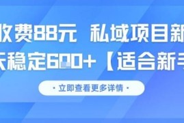 适合新手的私域副业新玩法 单客收费88元日均稳定营收600+