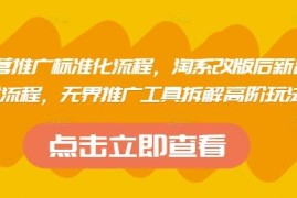 淘系改版后运营推广标准化流程 无界推广新品布局高阶玩法拆解