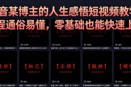 灰太狼人生感悟短视频制作全教程 零基础上手含变现玩法教学