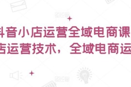 2024抖音小店全域电商运营课 从入门到实操全流程教程