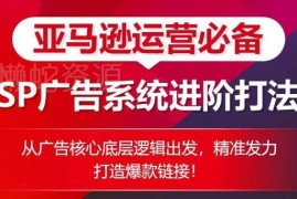 亚马逊运营必备：SP广告系统进阶打法 从底层逻辑打造爆款链接
