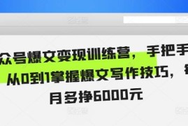 2024公众号爆文变现训练营 手把手教你从0到1掌握爆文变现技巧