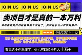 2026知识付费卖项目玩法拆解 卖铲子比做项目更易获高收益