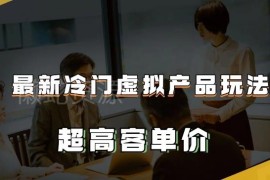 冷门高客单价虚拟产品玩法 百度引流变现月入2-3万
