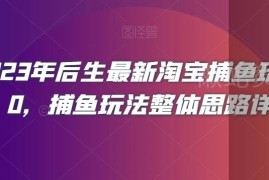 2023新版淘宝捕鱼玩法2.0详解 运营思路及计划设置实操教程