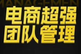 电商团队管理全流程教程 从组织绩效到分权合伙实操解析
