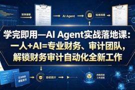 AI Agent财务审计实战落地课 零基础搭建自动化办公提效系统