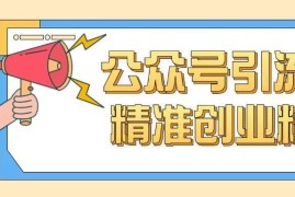 0基础可上手的公众号引流创业粉玩法 流量获取实操指南