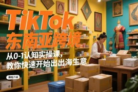 TikTok东南亚跨境从0到1实操课 零基础入门出海生意全流程