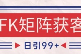 小红书抖音引流获客玩法揭秘 自热矩阵实操日引精准用户200+