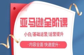亚马逊运营全阶课 小白入门到高阶能力提升系统教程