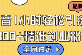 2024最新实用抖音引流教程 教你轻松日引300+高转化精准创业粉
