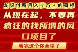 知识付费月入10万实操指南 落地网创副业项目运作全攻略